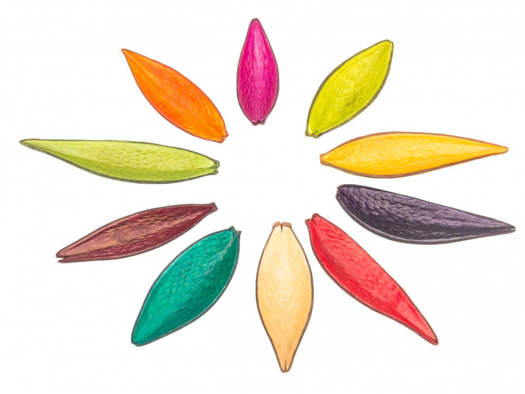 Canoinha Schote – bunt – 10-15 cm
