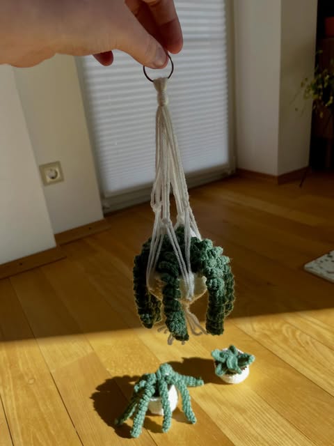 Pflanzenhänger