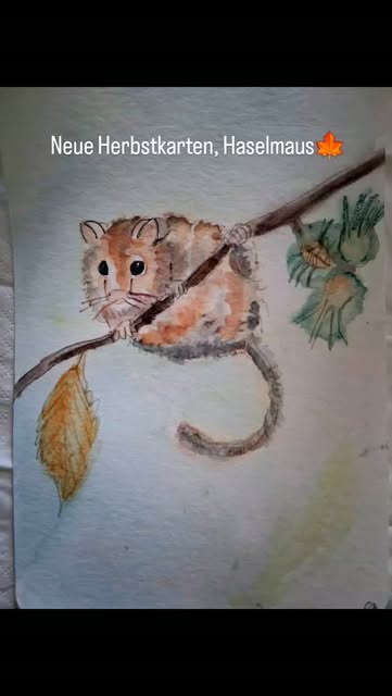 Haselmaus