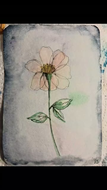 Blüte