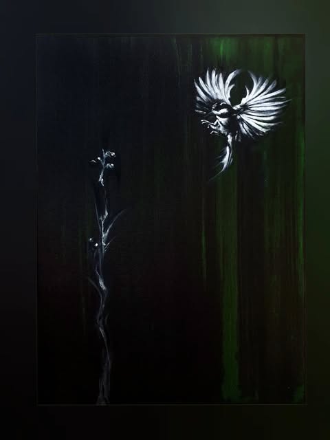 Blüte auf Schwarz