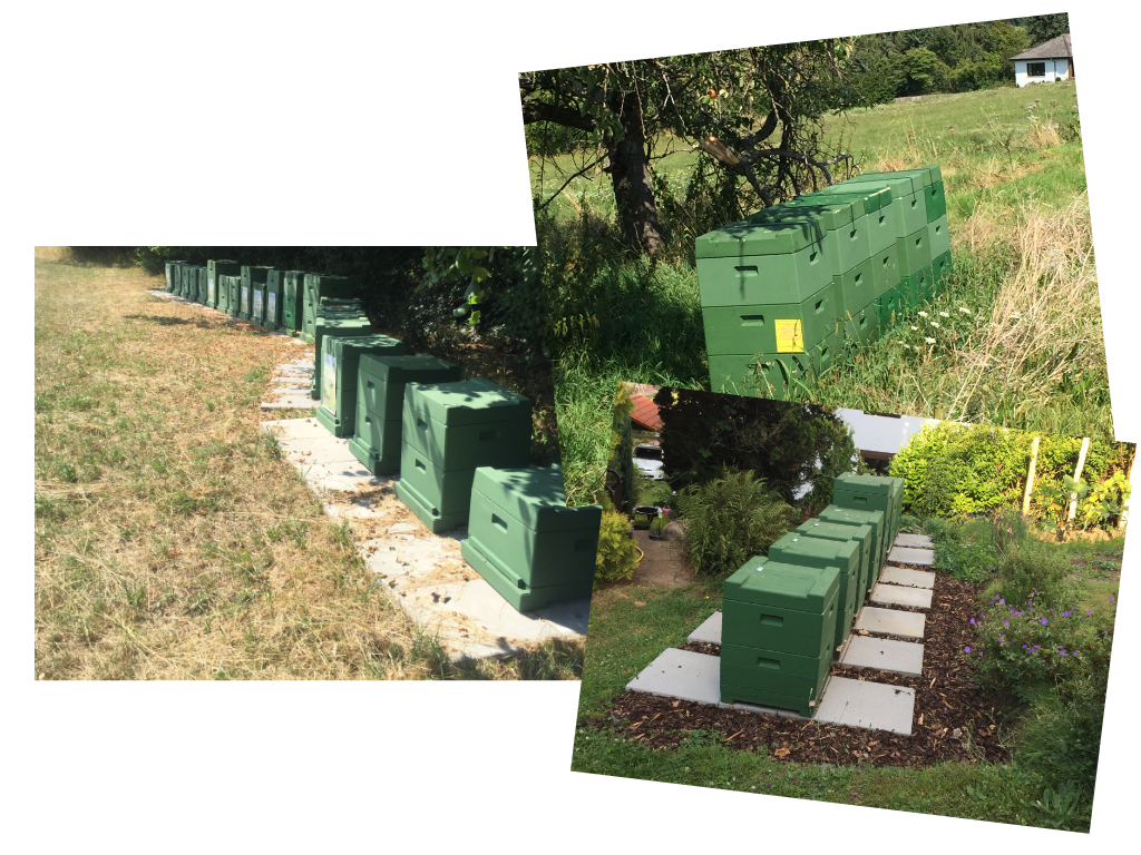 Unser Bienenstand
