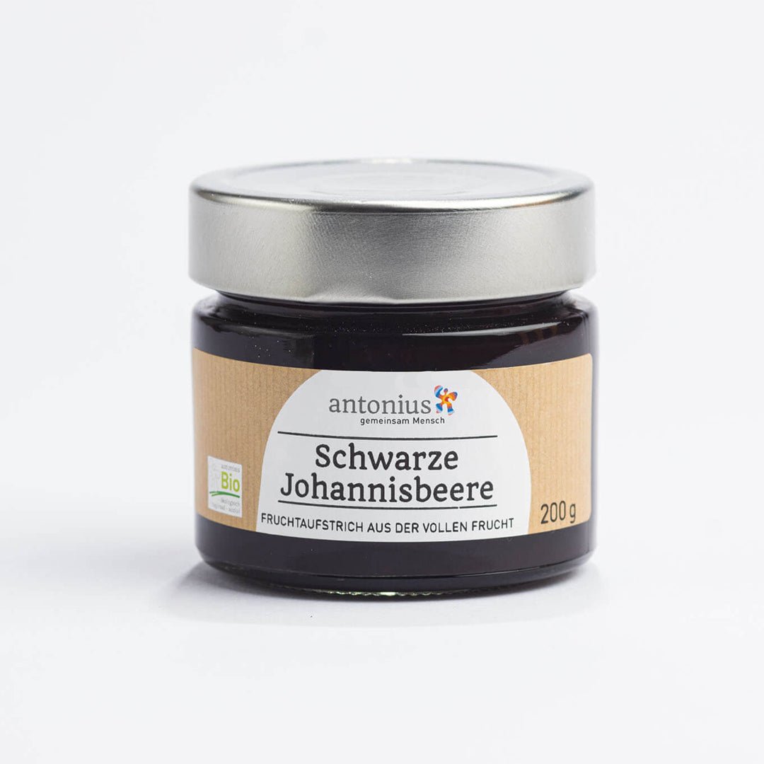 Fruchtaufstrich Schwarze Johannisbeere