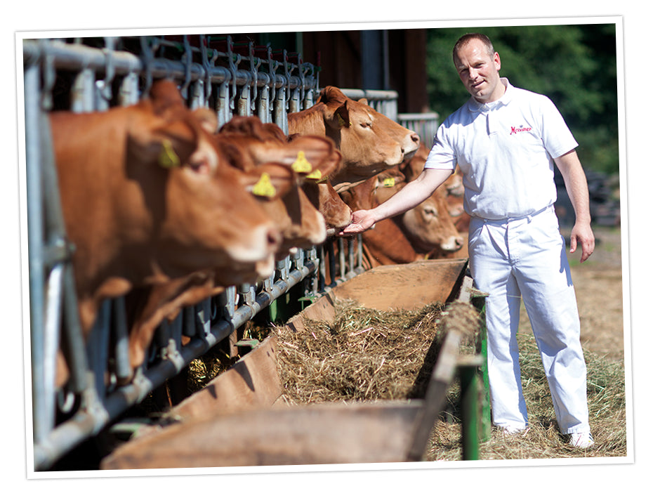 Rinder von bekannten Höfen aus der Rhön