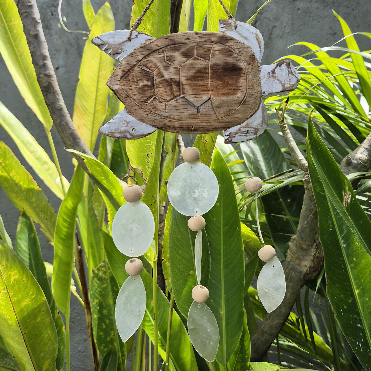 Windspiel Capiz – Schildkröte whitewash